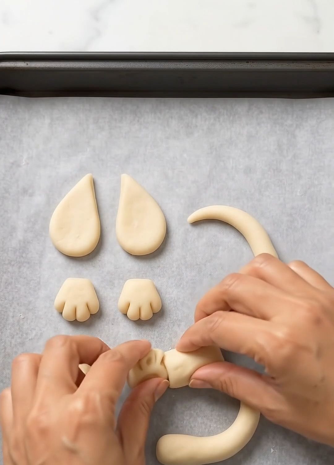 Dough ears paws and curved tail prepared for a dachshund bun